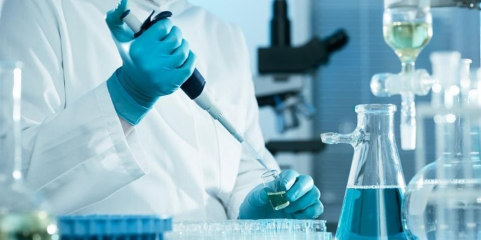 Mais de 6 milhões de euros atribuídos a nove investigações biomédicas portuguesas