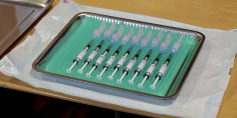 DGS prevê início precoce da gripe e apela a vacinação nas próximas duas semanas