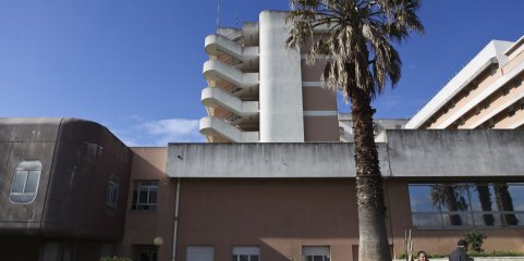 Obstetrícia do Garcia de Orta bateu recordes de admissões em urgência, partos e internamentos