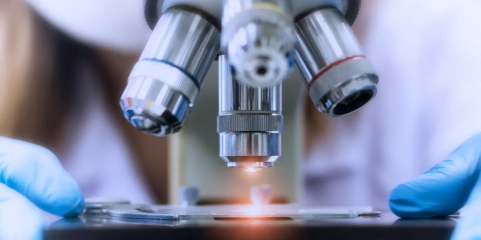 Prémios Pfizer distinguem medicina personalizada contra cancro e regulação metabólica