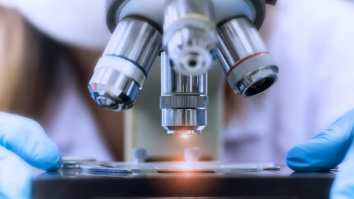 Prémios Pfizer distinguem medicina personalizada contra cancro e regulação metabólica