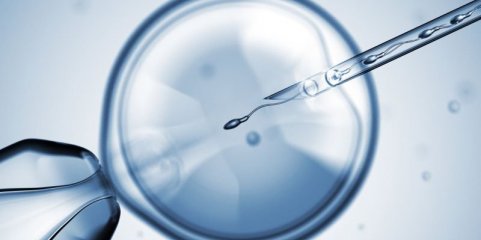 Infertilidade afeta uma em cada seis pessoas no mundo - OMS