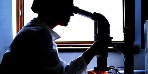 Investigadores rejuvenescem coração para combater insuficiência cardíaca