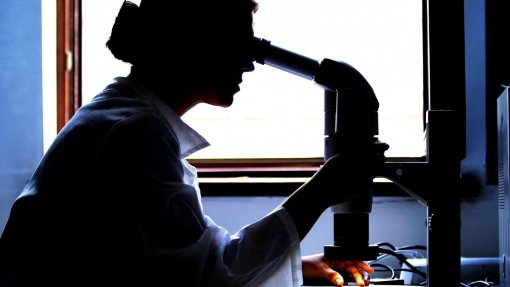 Investigadores rejuvenescem coração para combater insuficiência cardíaca