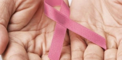 Liga Portuguesa Contra o Cancro angariou mais de 2,04 M€ no peditório deste ano