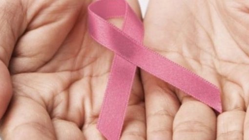 Liga Portuguesa Contra o Cancro angariou mais de 2,04 M€ no peditório deste ano