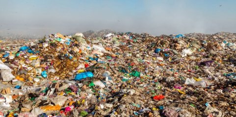 ZERO denuncia “atentado ambiental” em projeto no aterro da Ecolezíria