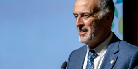 Ordem dos Farmacêuticos apela à DGS e Infarmed para garantirem acesso às vacinas da gripe