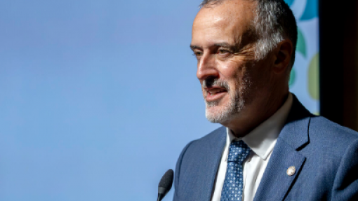 Ordem dos Farmacêuticos apela à DGS e Infarmed para garantirem acesso às vacinas da gripe