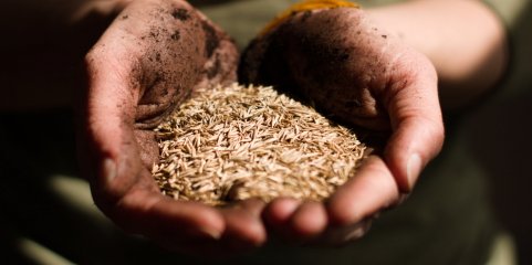 Fome atingirá níveis catastróficos nos Camarões sem mais financiamento - ONU