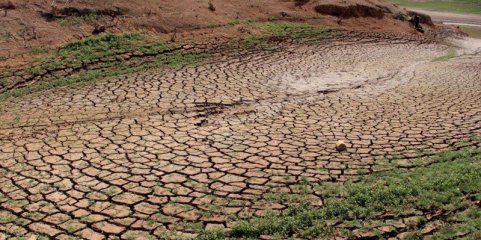Mais de 40% de Espanha ameaçada de desertificação devido à atividade humana