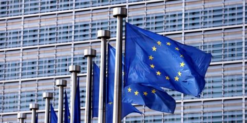 Bruxelas atualiza medidas contra a gripe aviária após registar 74 novos casos