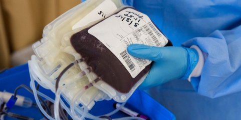Reservas de sangue na ULS Almada-Seixal saíram do nível crítico mas ainda abaixo do nível de segurança