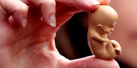 Relatora da proposta sobre aborto aprovada no Parlamento Europeu otimista com resposta da Comissão