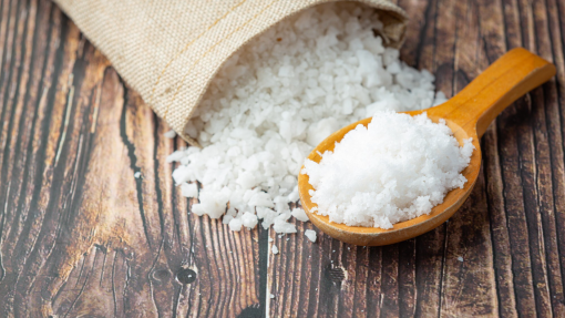 Coligação de Governo nos Açores quer aumento de uso de sal iodado na alimentação regional