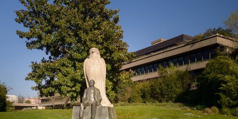 Fundação Gulbenkian apoia projetos de investigação clínica em Cabo Verde e Moçambique