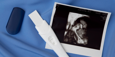 Cientistas implantam com sucesso um embrião num endométrio artificial