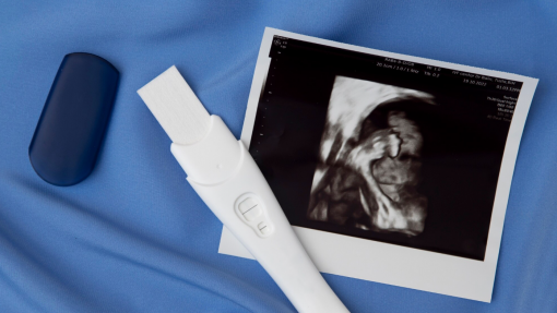 Cientistas implantam com sucesso um embrião num endométrio artificial