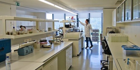 Cientistas de Coimbra desenvolvem molécula inovadora para tratamento do cancro