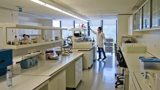 Cientistas de Coimbra desenvolvem molécula inovadora para tratamento do cancro