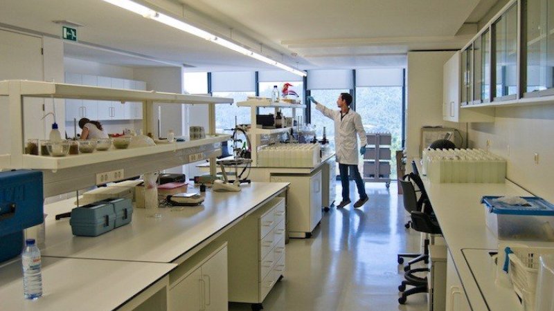 Cientistas de Coimbra desenvolvem molécula inovadora para tratamento do cancro