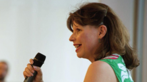 Bastonária dos Psicólogos diz que resposta ao vício do jogo exige monitorização