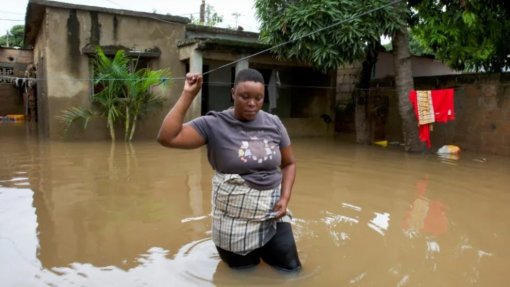 Cheias destroem 180 mil hectares de produção e 150 mil cabeças de gado em Moçambique