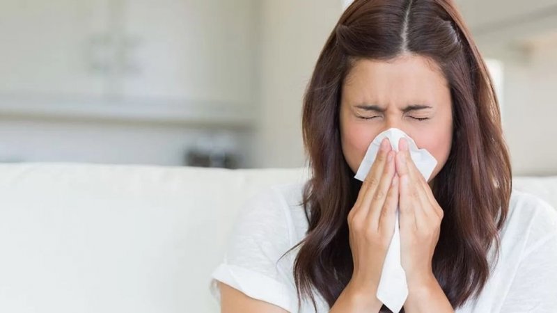 Identificado mecanismo que explica risco de pneumonia grave após gripe