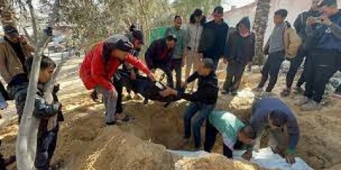 Médio Oriente: Cruz Vermelha diz ter entregado em Gaza corpos de 15 palestinianos