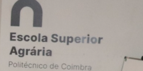 Movimento das aves aquáticas afeta propagação da gripe aviária