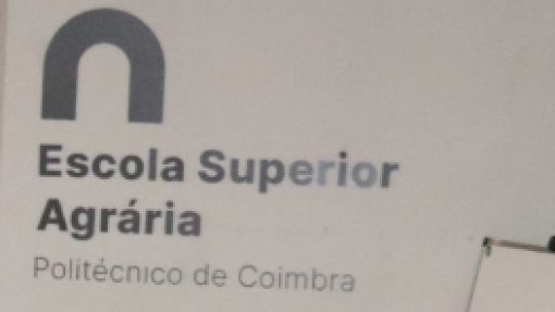 Movimento das aves aquáticas afeta propagação da gripe aviária