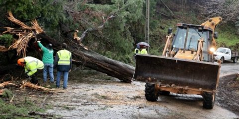 Mau tempo: Castanheira de Pera estima prejuízos de cinco milhões de euros com 550 habitações afetadas