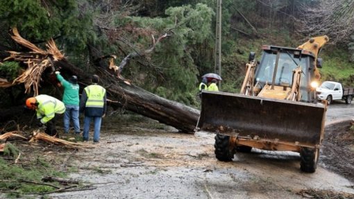 Mau tempo: Castanheira de Pera estima prejuízos de cinco milhões de euros com 550 habitações afetadas