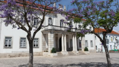 Mau tempo: Autarquia da Moita ativa Plano Municipal de Emergência