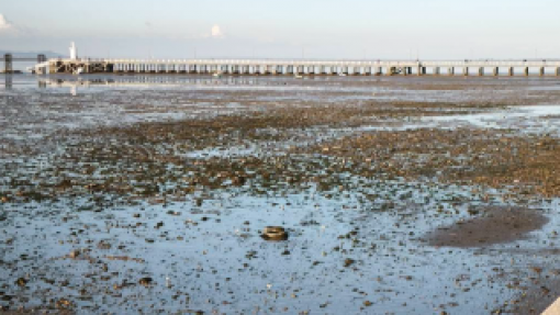 Mau tempo: Alcochete interditou circulação na frente ribeirinha