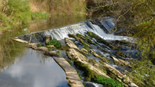 URGENTE: Mau tempo: Caudais dos rios Lis e Lena em Leiria a estabilizar – Câmara