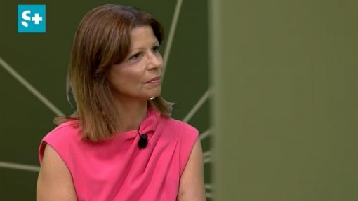 Mau tempo: Ordem dos psícólogos mobilizou equipas para apoio em quatro municípios