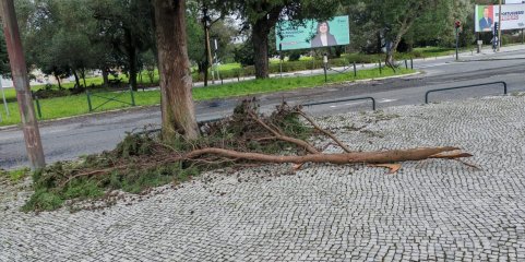 Mau tempo: PSD recomenda ao Governo que reforce resistência dos serviços essenciais e infraestruturas críticas