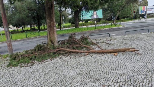 Mau tempo: PSD recomenda ao Governo que reforce resistência dos serviços essenciais e infraestruturas críticas