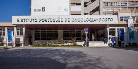 Museu da Chapelaria expõe chapéus infantis criados por 'designers' e técnicos do IPO-Porto