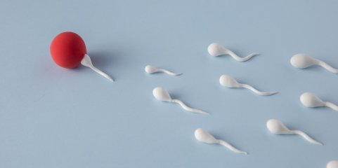 Estudo deteta compostos químicos no sémen que afetam saúde reprodutiva