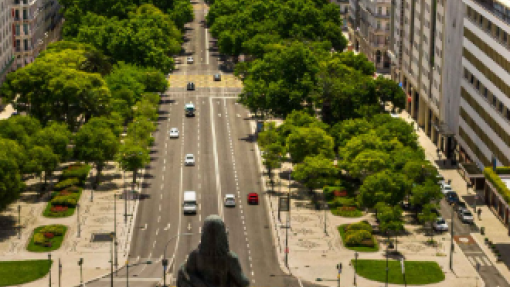 Zero defende zona sem emissões na Baixa de Lisboa para cumprir novos limites poluentes