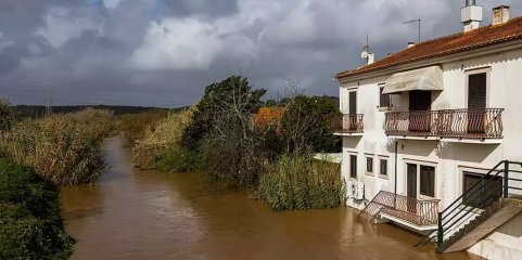 Mau tempo: Rio Tejo continua a baixar e começa a deixar à vista destruição