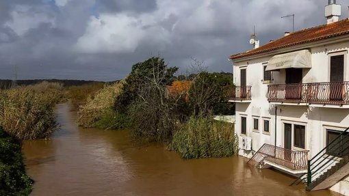 Mau tempo: Rio Tejo continua a baixar e começa a deixar à vista destruição