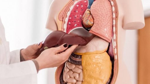 Médico com doença quer criar em Portugal associação dedicada tumores do fígado