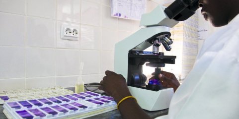 Moçambique com mais de 1,3 milhões de casos de malária este ano e 49 mortos