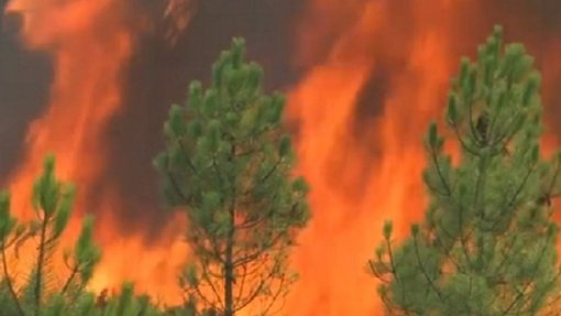 Incêndios: Força Aérea preparada para combate após receber sexto helicóptero