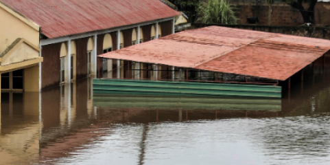 Inundações aumentam 7 vezes casos de cólera na África Austral no início do ano - OMS