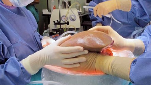 Médio Tejo aumentou em 2025 número de órgãos colhidos para transplantação