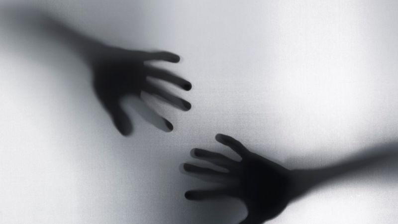 APAV apoiou 50.495 mulheres nos últimos quatro anos, maioria por violência doméstica